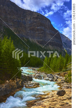 Rushing River Flowing Through Marble Canyon with Pine Forest and Mountain Cliff 136143803
