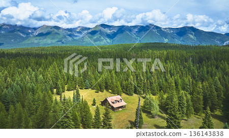 Aerial Cabin in Pine Forest with Mountain Range and Expansive Greenery 136143838