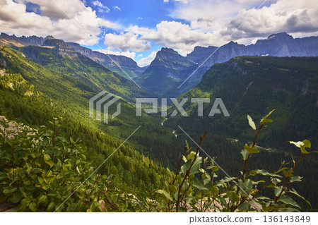 Mountain Valley Forests and Dramatic Peaks Under Summer Sky 136143849