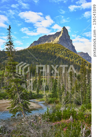 Mountain Peak and Creek with Dead Forest in Lush Valley Montana 136143899