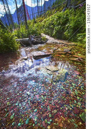 Colorful River Rock Stream and Lush Forest Trail with Mountain Backdrop Colorful River Rock Stream and Lush Forest Trail with Mountain Backdrop 136143917