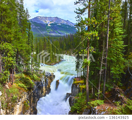 Panorama of Sunwapta Falls Waterfall Flowing Through Forest and Mountain Landscape 136143925