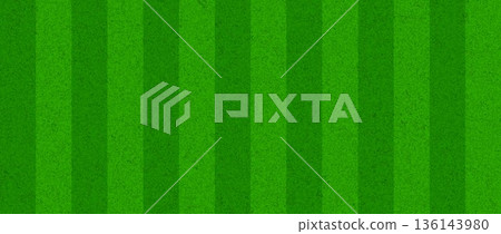 Grass field background concept. Abstract green turf texture. Artificial sport field template design for football, baseball, soccer game. Fake golf lawn ground wallpaper. Vector illustration 136143980