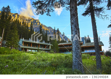 Mountain Lodge Retreat Among Pine Trees and Wildflowers at Sunrise 136144084