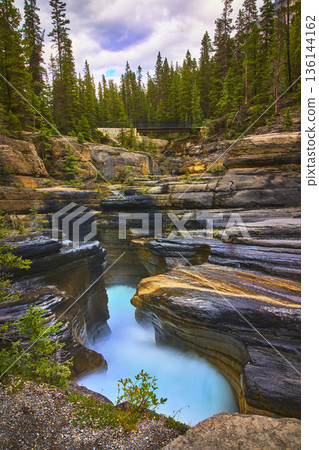 Mistaya Canyon Rapids and Pine Forest with Blue River Water in Banff National Park 136144162