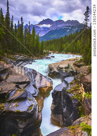 Mistaya Canyon Rushing River and Pine Forest with Majestic Mountain Backdrop 136144234