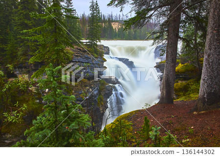 Athabasca Falls Powerful Waterfall Surrounded by Lush Evergreen Forest Jasper Athabasca Falls Powerful Waterfall Surrounded by Lush Evergreen Forest Jasper 136144302