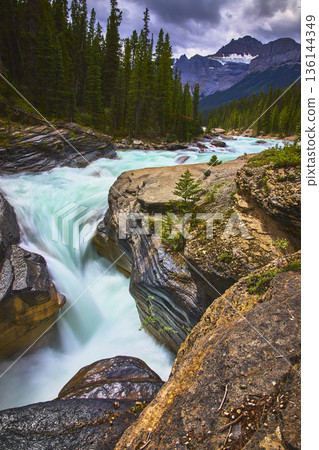 Mistaya Canyon Waterfall and River with Rocky Mountains and Pine Forest 136144349
