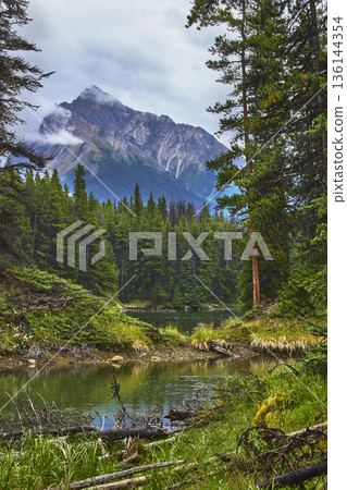 Moose Lake Forest and Mountain Reflections in Serene Wilderness Landscape Moose Lake Forest and Mountain Reflections in Serene Wilderness Landscape 136144354