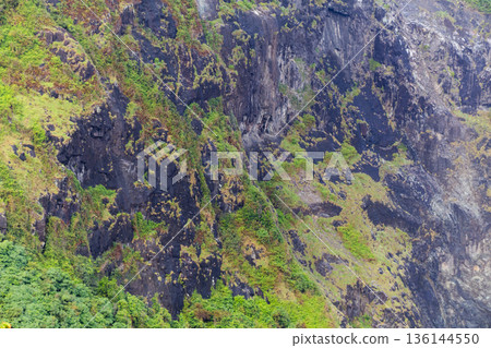 Steep rock cliff surface texture covered with green moss and tropical vegetation in a wet environment. 136144550