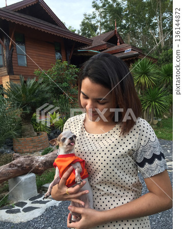 Asian woman holding small chihuahua dog outdoors front wood house 136144872