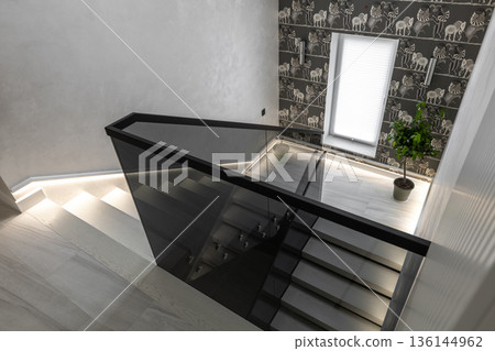 Modern Interior Staircase with Glass Railing and Zebra Wallpaper Modern Interior Staircase with Glass Railing and Zebra Wallpaper 136144962