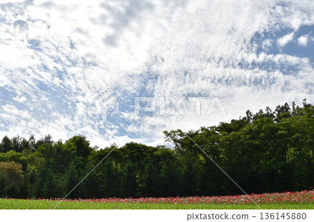Cloudy July sky 136145880