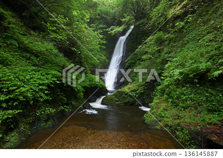 Noka Falls (Ooi Town, Fukui Prefecture) Noka Falls (Ooi Town, Fukui Prefecture) 136145887
