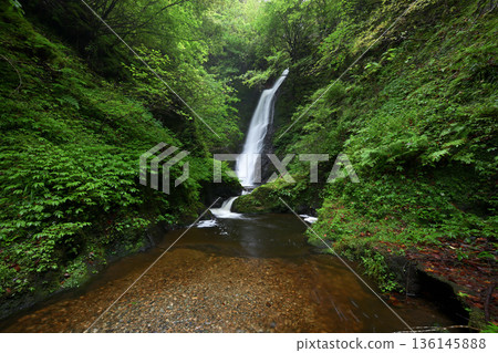 Noka Falls (Ooi Town, Fukui Prefecture) Noka Falls (Ooi Town, Fukui Prefecture) 136145888