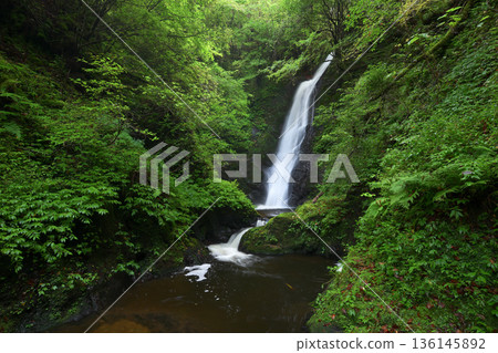 Noka Falls (Ooi Town, Fukui Prefecture) 136145892