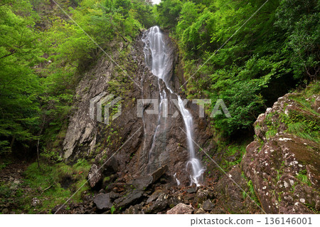 A strange waterfall (Hyogo prefecture Kanzaki-gun) A strange waterfall (Hyogo prefecture Kanzaki-gun) 136146001