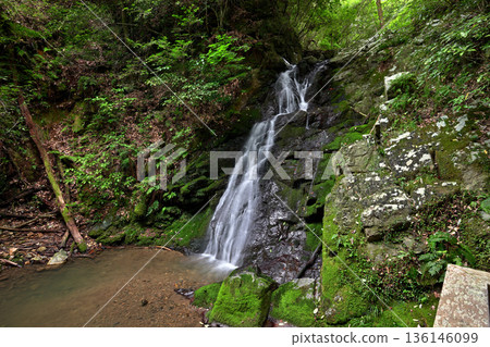 白瀧瀑布（大阪府高槻市） 136146099