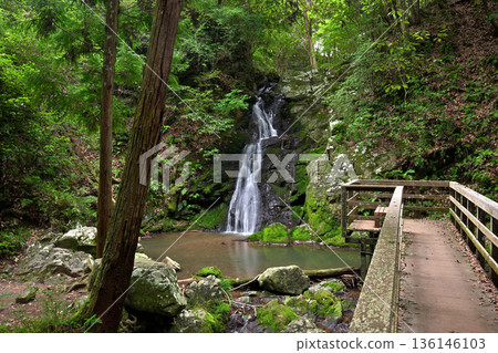 Shirataki Falls (Takatsuki City, Osaka Prefecture) 136146103