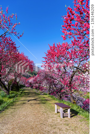 Hanamomo no Sato, Achi Village, Nagano Prefecture Hanamomo no Sato, Achi Village, Nagano Prefecture 136146209