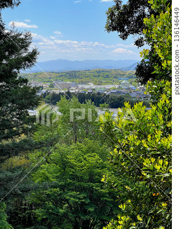紅山石楠林 - 從高處俯瞰津市 136146449