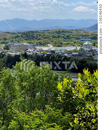 紅山石楠林 - 從高處俯瞰津市 紅山石楠林 - 從高處俯瞰津市 136146450