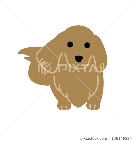 棕色臘腸犬面向前方的向量圖 136146524