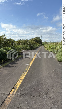 Dilapidated road 136146655