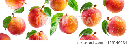 Juicy red-yellow plums and nectarines with dew drops and green leaves, isolated on white background, freshness and summer fruit 136146984
