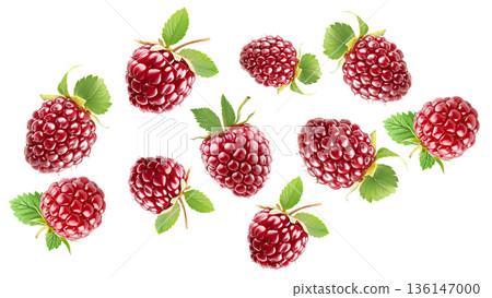 Shiny ripe loganberries or raspberry with vibrant green leaves, on white background. Concept of freshness and healthy food 136147000