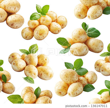 Multiple clusters of fresh raw potatoes with green leaves isolated on a white background, organic food and harvest concept Multiple clusters of fresh raw potatoes with green leaves isolated on a white background, organic food and harvest concept 136147011