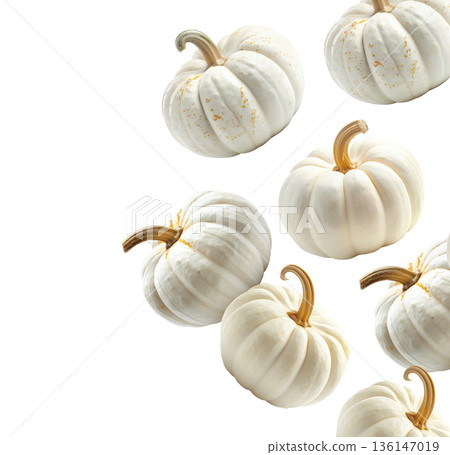 White mini pumpkins with natural stems and speckles, in a scattered layout isolated on white background. 136147019