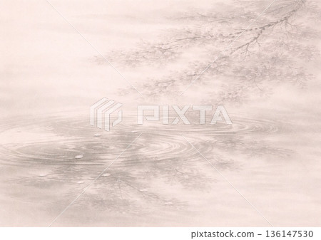 Cherry blossoms appearing on the surface of the water Cherry blossoms appearing on the surface of the water 136147530