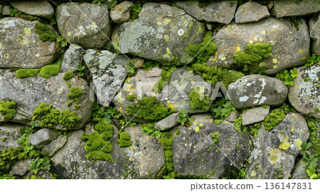 日式庭園的紋理，帶有侘寂之美，石牆上覆蓋著苔蘚和地衣。 136147831