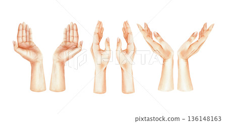 Watercolor set of elegant female paired hands in different poses. Hand drawn graceful gestures illustration. Collection of delicate women palms. High-quality isolated elements for your design 136148163