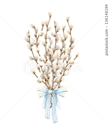 Bouquet of willow branches tied blue bow, lace ribbon. Easter spring flowers with fluffy bud on twigs. Traditional symbol of religious bright holiday. Hand drawn watercolor Isolated illustration 136148194