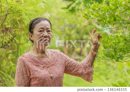 senior woman in the garden senior woman in the garden 136148335