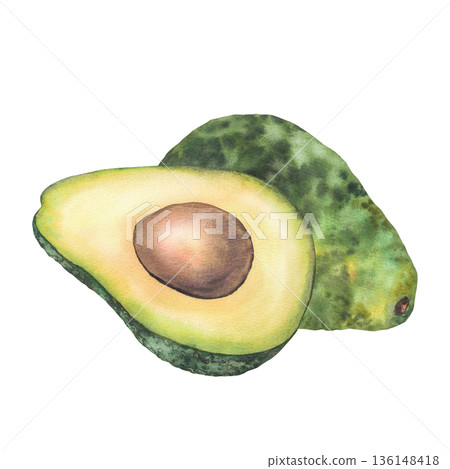 Avocado fruit watercolor painted on isolated white background. Whole and cut green fruit half with seed. Illustration for healthy food lifestyle concepts, packaging, menus, farm product label branding Avocado fruit watercolor painted on isolated white background. Whole and cut green fruit half with seed. Illustration for healthy food lifestyle concepts, packaging, menus, farm product label branding 136148418