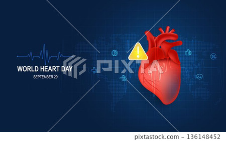 Human heart and body with red cardio line. Heart anatomy, cardiology medicine, organ health, medical science, life healthcare, cardio illness concept illustration or background for medical apps, websi Human heart and body with red cardio line. Heart anatomy, cardiology medicine, organ health, medical science, life healthcare, cardio illness concept illustration or background for medical apps, websi 136148452