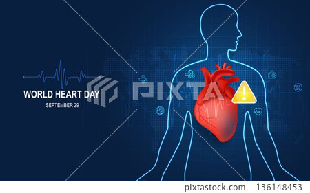 Human heart and body with red cardio line. Heart anatomy, cardiology medicine, organ health, medical science, life healthcare, cardio illness concept illustration or background for medical apps, websi Human heart and body with red cardio line. Heart anatomy, cardiology medicine, organ health, medical science, life healthcare, cardio illness concept illustration or background for medical apps, websi 136148453