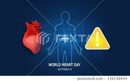 Human heart and body with red cardio line. Heart anatomy, cardiology medicine, organ health, medical science, life healthcare, cardio illness concept illustration or background for medical apps, websi Human heart and body with red cardio line. Heart anatomy, cardiology medicine, organ health, medical science, life healthcare, cardio illness concept illustration or background for medical apps, websi 136148454