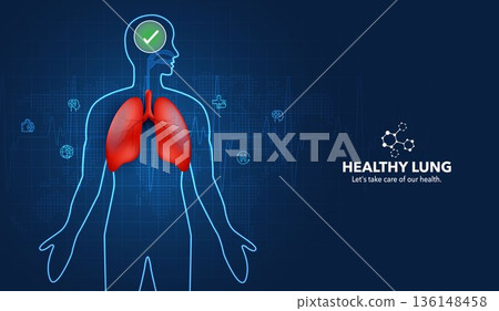 Medical vector of healthy lungs on human body silhouette. Concept of respiratory system, internal organ health, anatomy care, and pulmonary technology with blue digital background. Medical vector of healthy lungs on human body silhouette. Concept of respiratory system, internal organ health, anatomy care, and pulmonary technology with blue digital background. 136148458