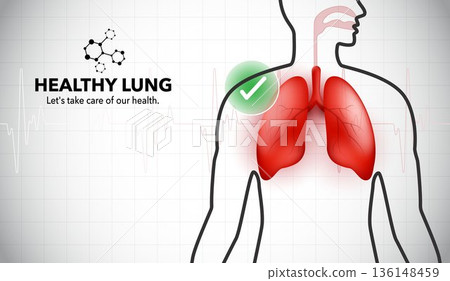 Healthy Human Lungs Infographic with Respiratory System Anatomy, Medical Background, and Green Check Mark for Healthcare, Wellness, and Disease Prevention Concept Illustration. Healthy Human Lungs Infographic with Respiratory System Anatomy, Medical Background, and Green Check Mark for Healthcare, Wellness, and Disease Prevention Concept Illustration. 136148459