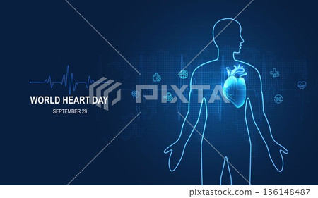 Human heart and body with red cardio line. Heart anatomy, cardiology medicine, organ health, medical science, life healthcare, cardio illness concept illustration or background for medical apps, websi Human heart and body with red cardio line. Heart anatomy, cardiology medicine, organ health, medical science, life healthcare, cardio illness concept illustration or background for medical apps, websi 136148487