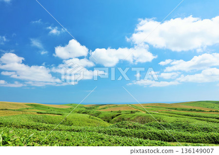 從宗谷山看北海道夏日藍天風光 從宗谷山看北海道夏日藍天風光 136149007
