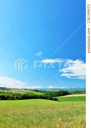 北海道夏天藍天和Biei風景 136149012