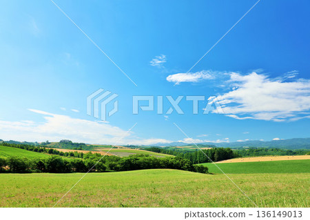 Hokkaido summer blue sky and Biei landscape 136149013