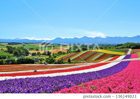 Hokkaido Summer Blue Sky Beautiful Shikisai no Oka Hokkaido Summer Blue Sky Beautiful Shikisai no Oka 136149021