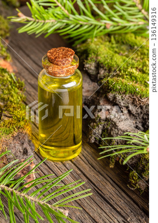 Close up one glass essential fir oil bottle surrounded by pikhta branches and moss on wooden surface 136149316