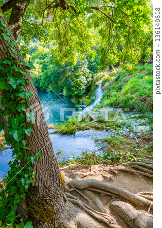 Waterfalls at Krka river, Croatia. Part of the Skradinski Buk waterfall. Famous place in nature park - beautiful tourist destination in Croatia. Fresh green nature, summer weather. 136149818